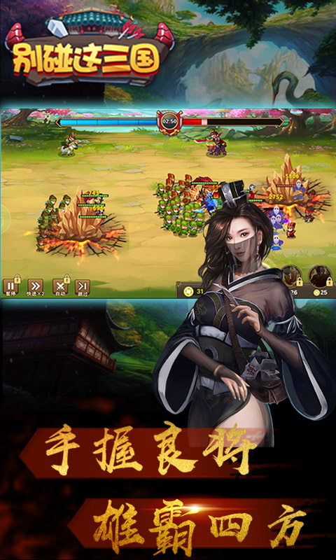别碰这三国4