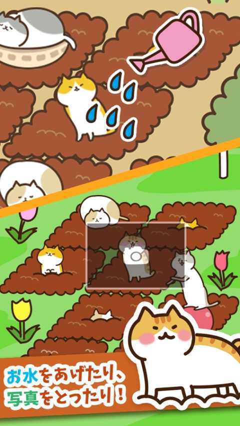 猫咪田园破解版游戏截图4