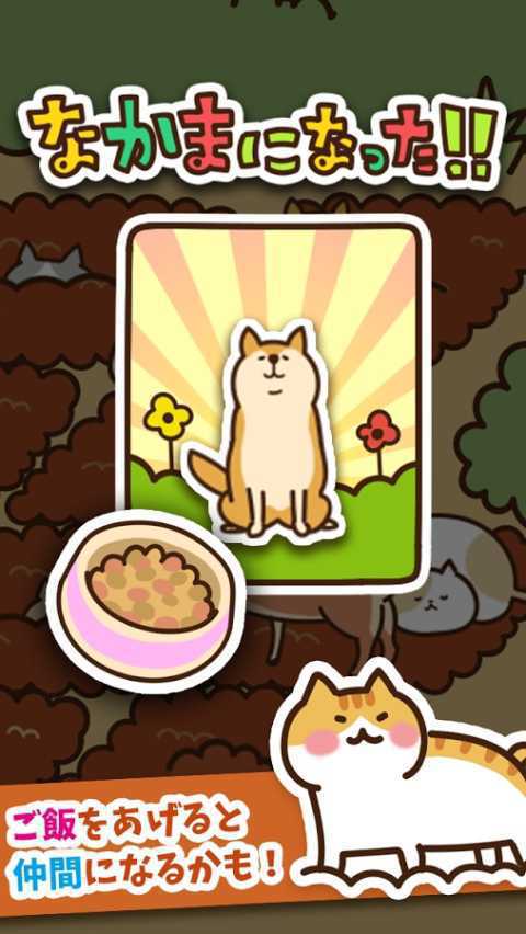 猫咪田园破解版游戏截图1