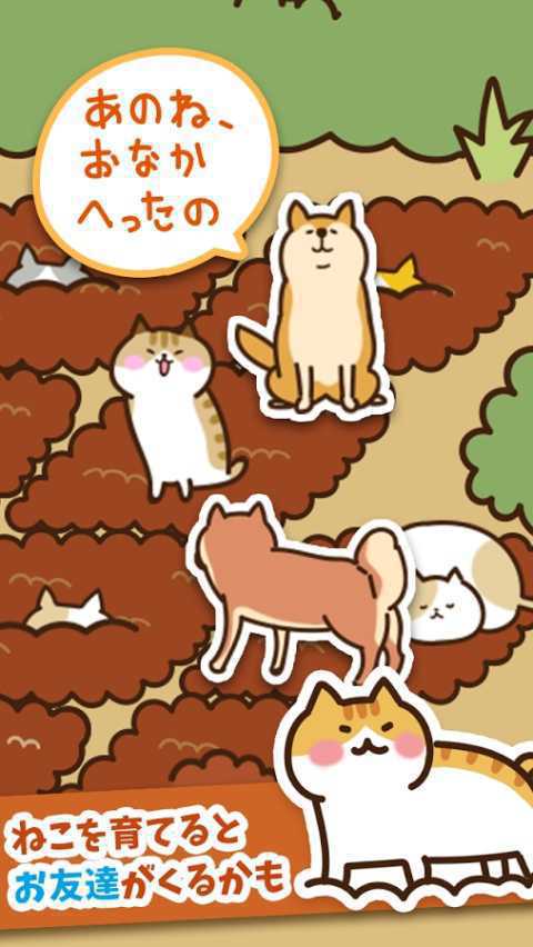 猫咪田园破解版游戏截图3
