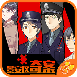景安区奇案破解版