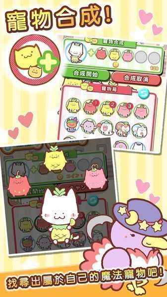 魔法宠物屋游戏截图1