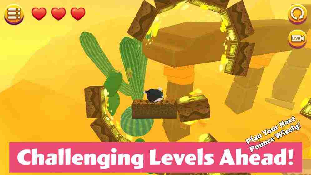 盒子里的猫2游戏截图1