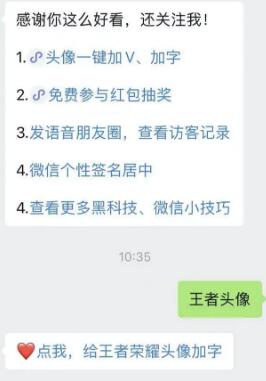 王者荣耀头像带职业俩字怎么弄