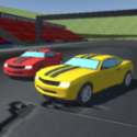 双人赛车3D破解版游戏图标