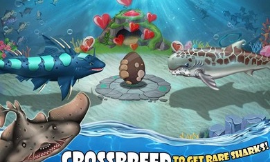 鲨鱼世界单机版游戏截图2