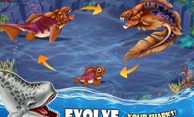 鲨鱼世界单机版游戏截图3