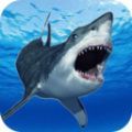 鲨鱼的恐怖袭击游戏图标