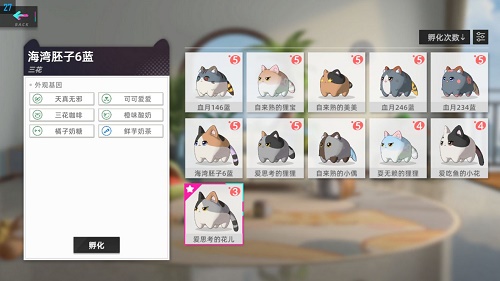 猫之城兑换码有什么